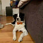 Ancient Pottery Velvet Set