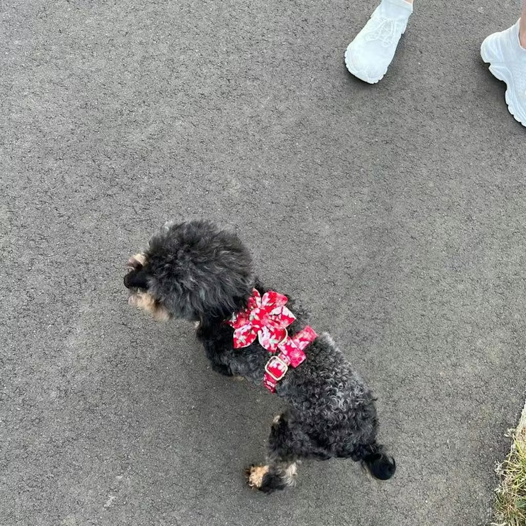 Ruby Bloom Floral Set