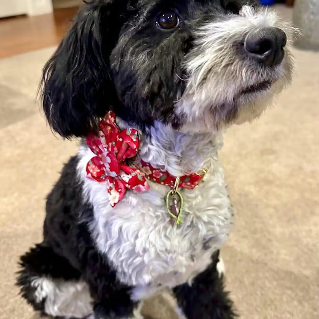 Ruby Bloom Floral Set