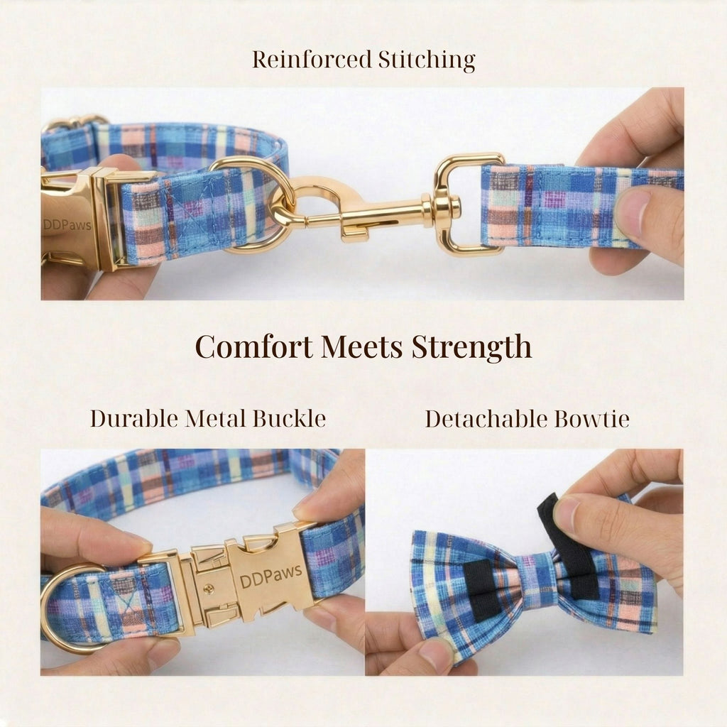 DDPaws  Blue Plaid Set