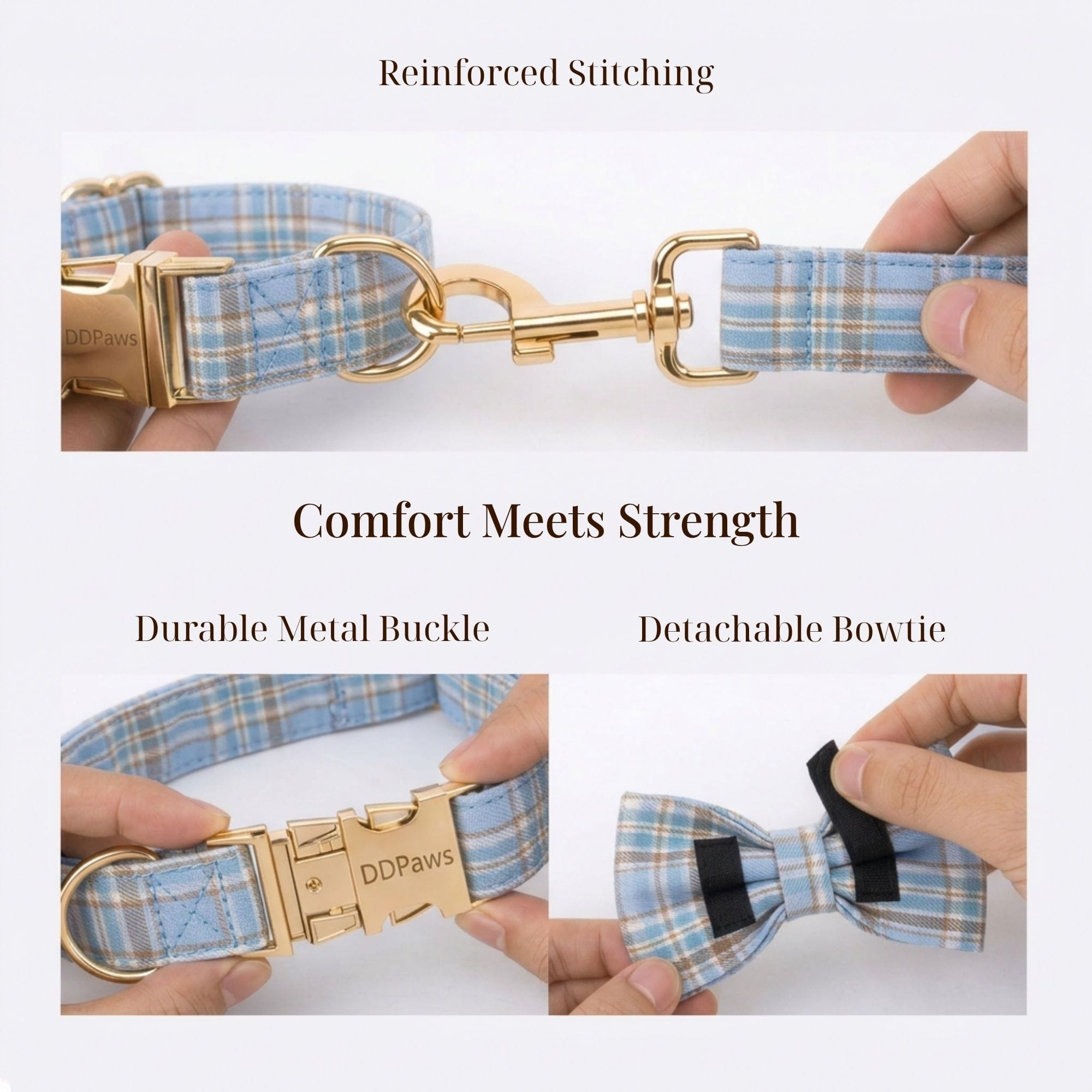 D&D Paws  Blue Plaid Set