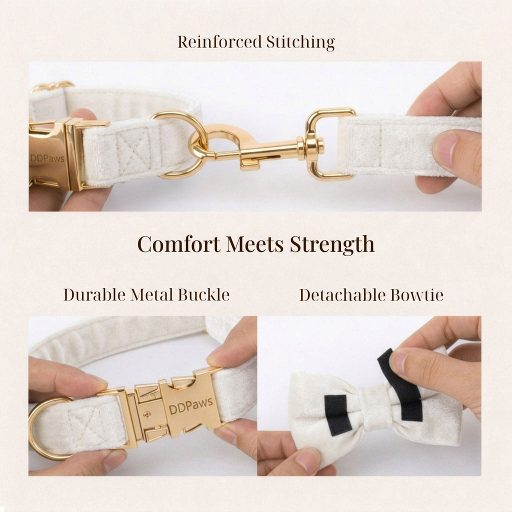 D&D Paws  White Wedding Velvet Set