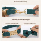 D&D Paws  Dark Green Corduroy Set
