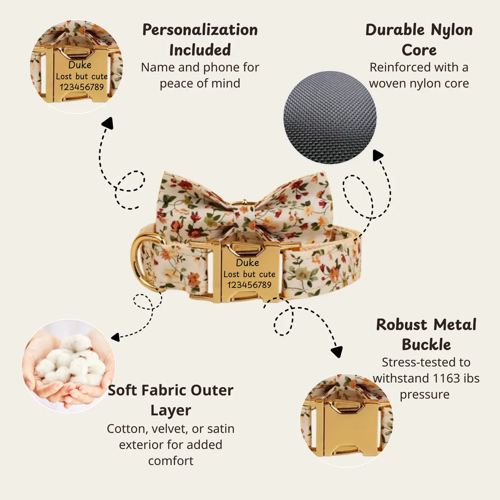 D&D Paws  Ancient Pottery Velvet - Modern Luxe Set