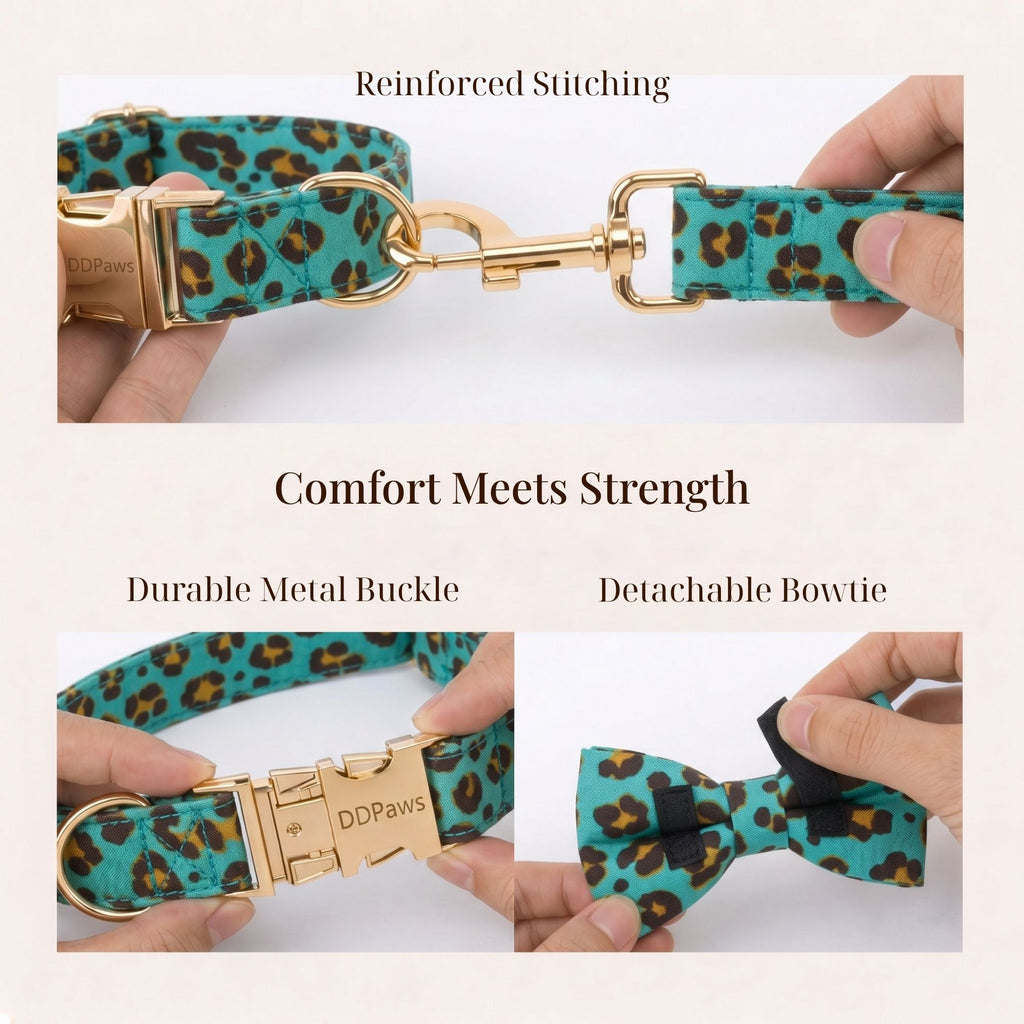 Aqua Leopard Set