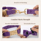 D&D Paws  Velvet Purple Set