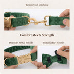 D&D Paws  Forest Green Velvet Set