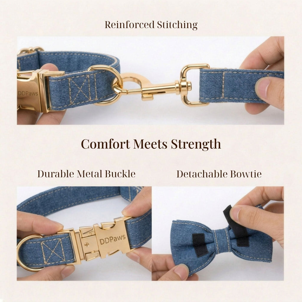 D&D Paws Blue Denim Set