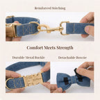 D&D Paws Blue Denim Set