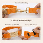 D&D Paws  Orange Velvet Set