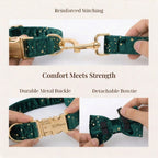 DDPaws  Green Star Velvet Set