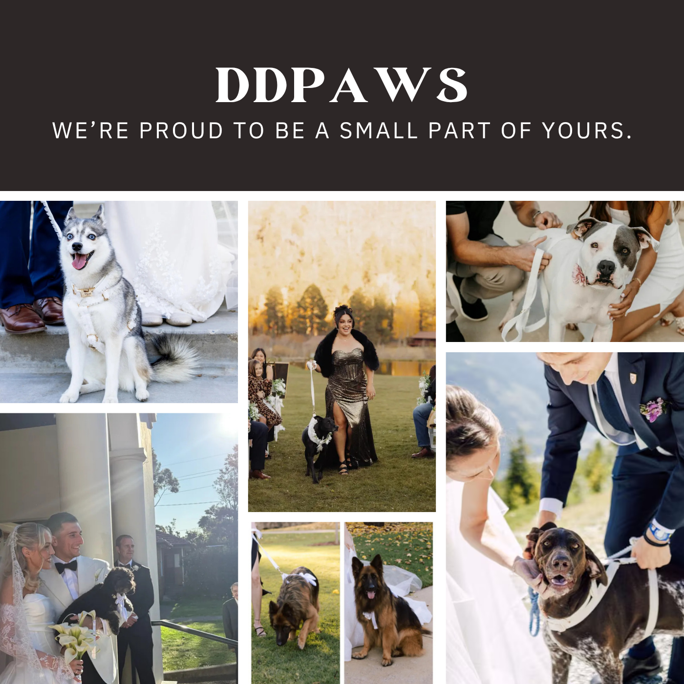 Wedding White Lace - Modern Luxe Set