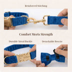 D&D Paws  Blue Velvet Set
