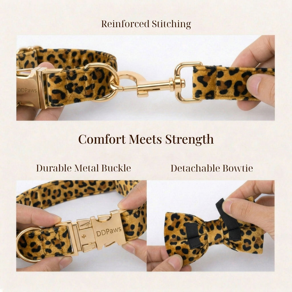 D&D Paws  Velvet Leopard Set