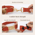 DDPaws  Red Velvet Dog Collar Set