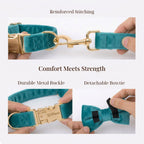 D&D Paws  Turquoise Stone Velvet Set