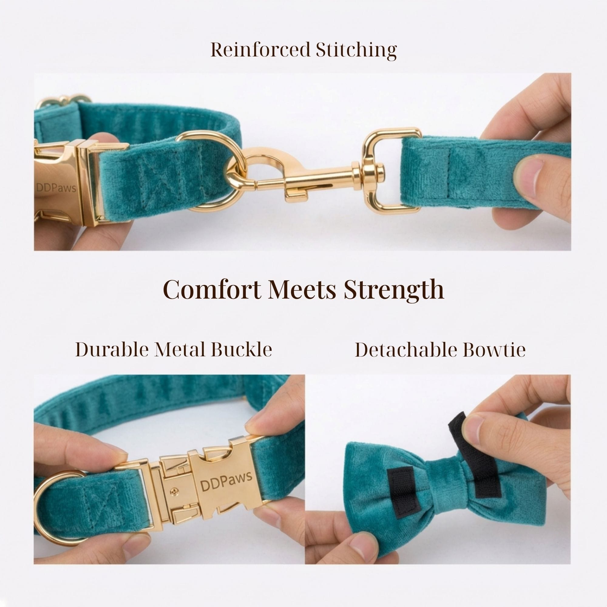 D&D Paws  Turquoise Stone Velvet Set