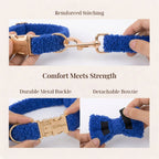 DDPaws  Blue Teddy Set