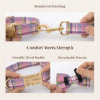 DDPaws  Plaid Pink Set