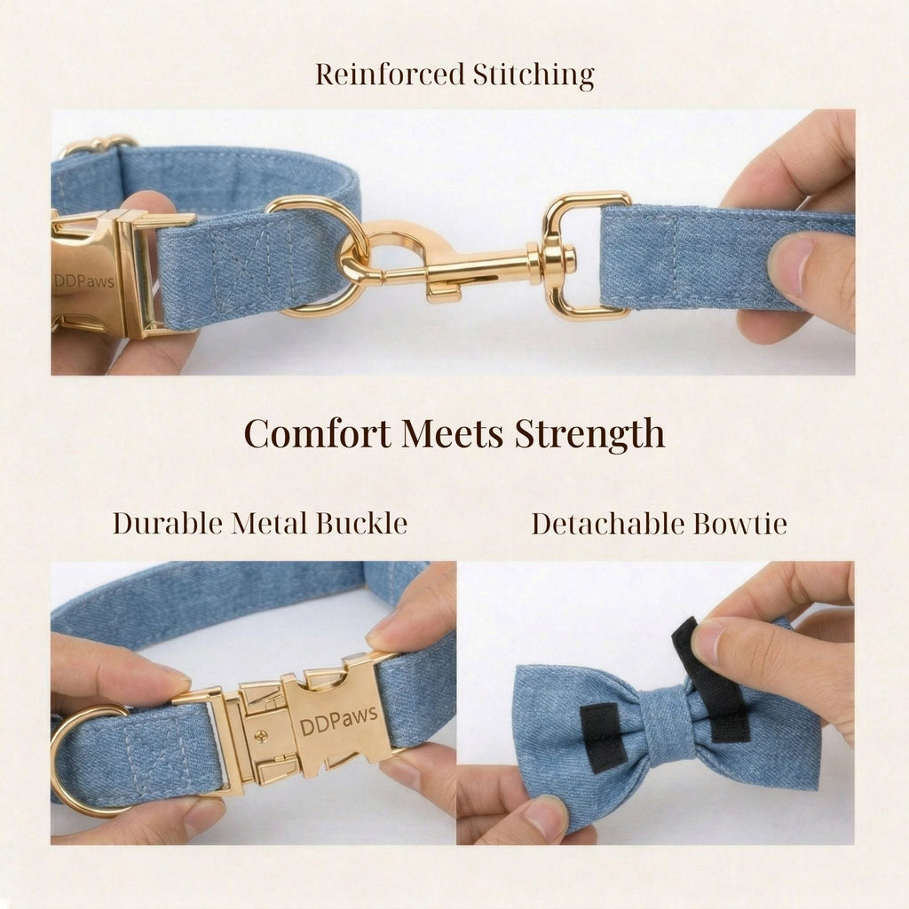 D&D Paws  Blue Denim Set