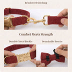 D&D Paws  Dark Red Corduroy Set
