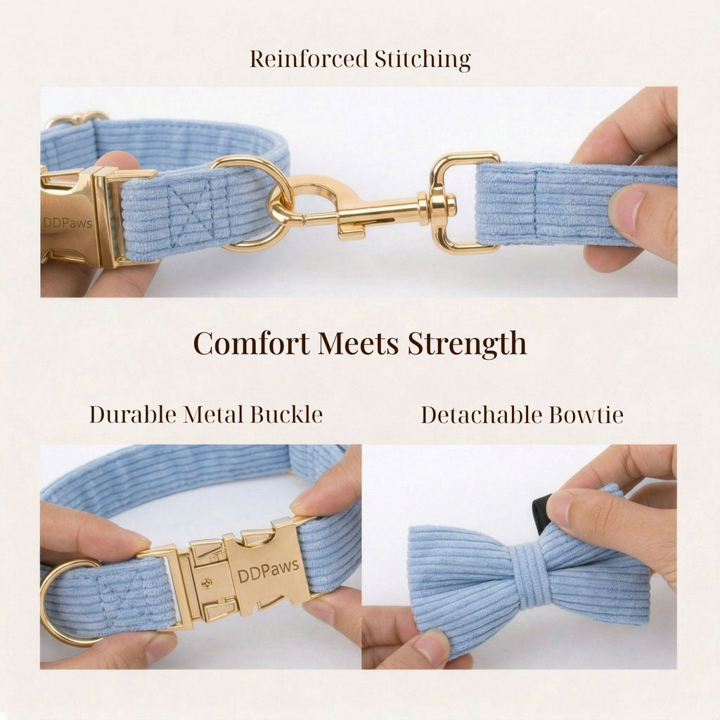 D&D Paws  Blue Corduroy Set