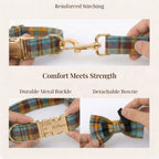 D&D Paws  Autumn Blue Plaid Set