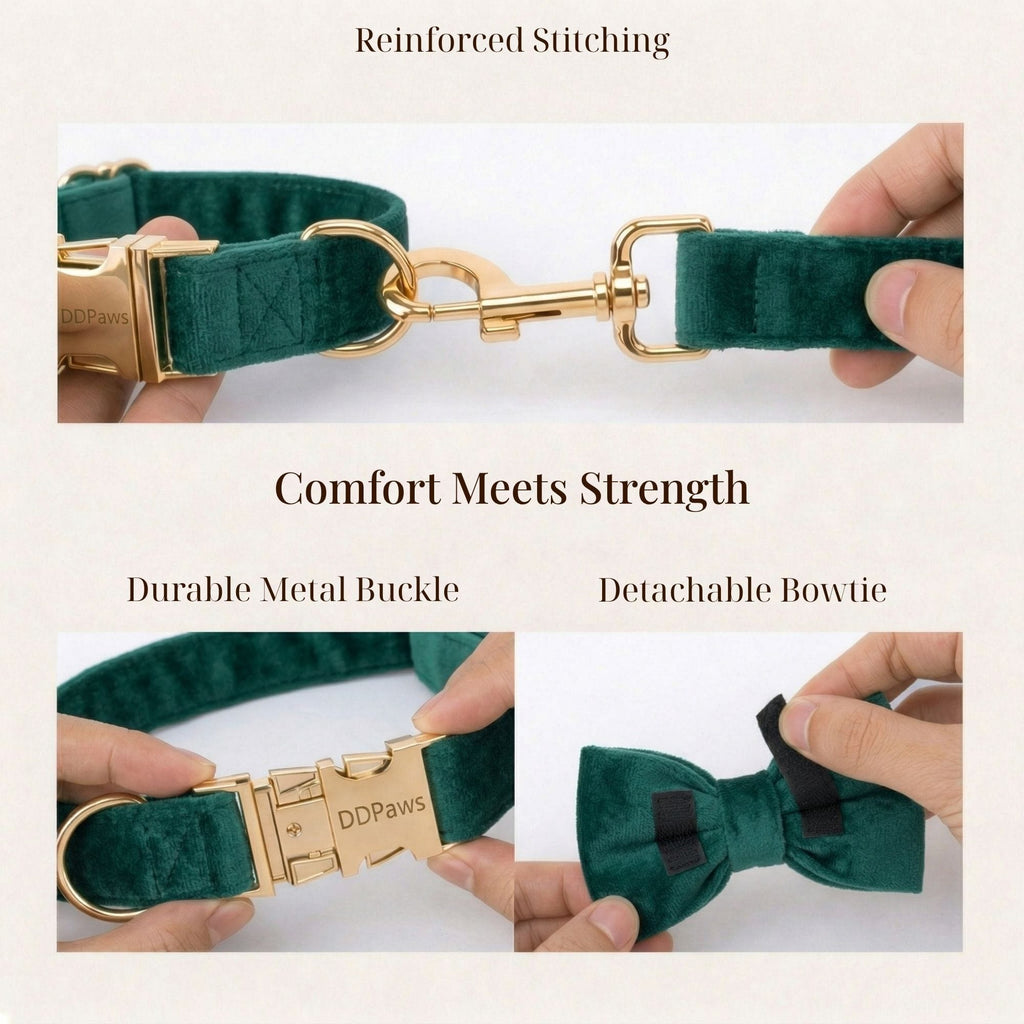D&D Paws  Green Velvet Set