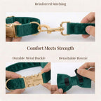 D&D Paws  Green Velvet Set