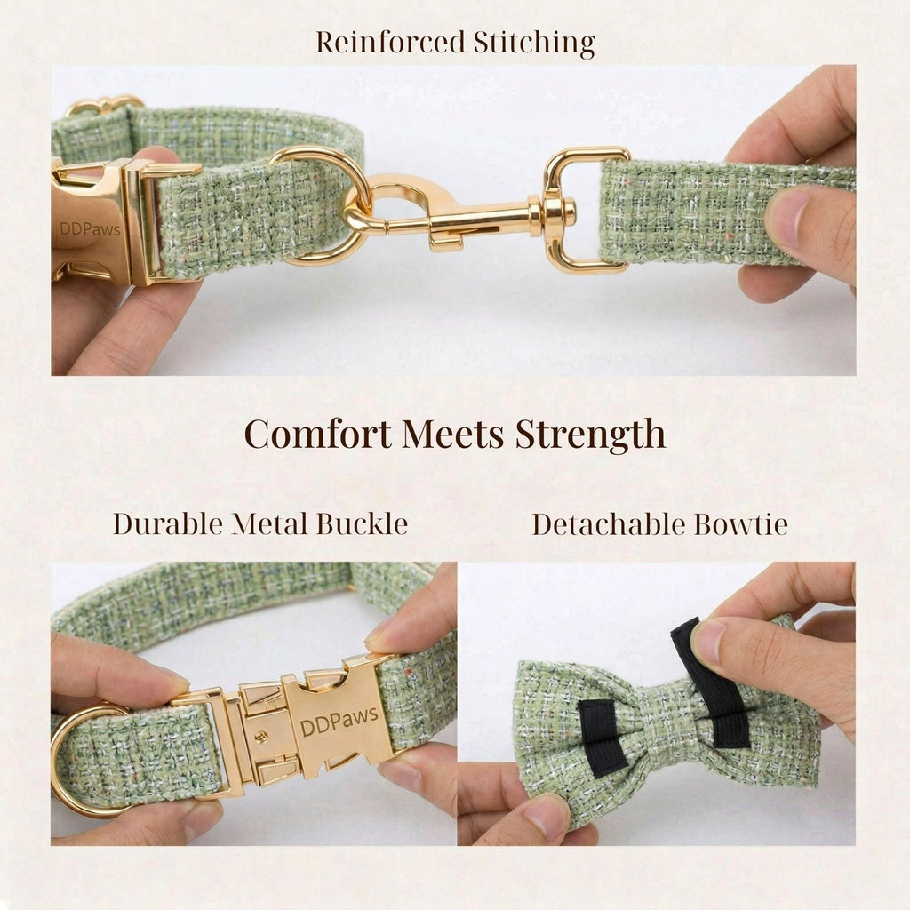 DDPaws  Lemon Green Cotton Set