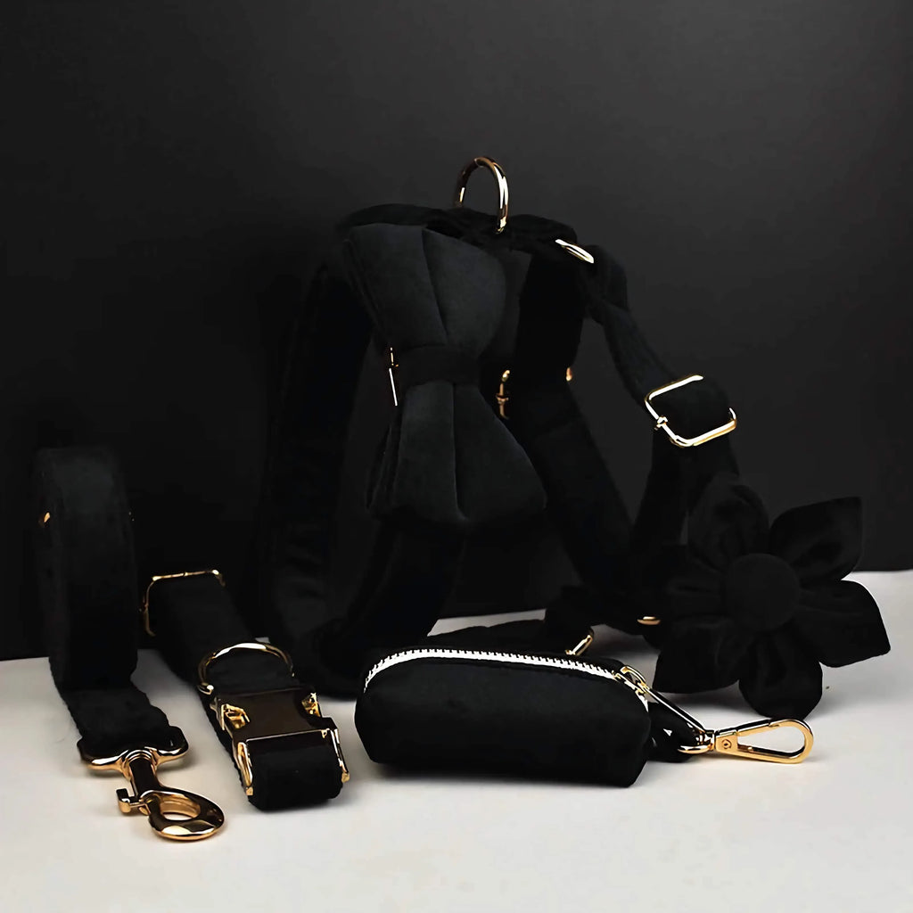 D&D Paws  Black Velvet - Modern Luxe Set