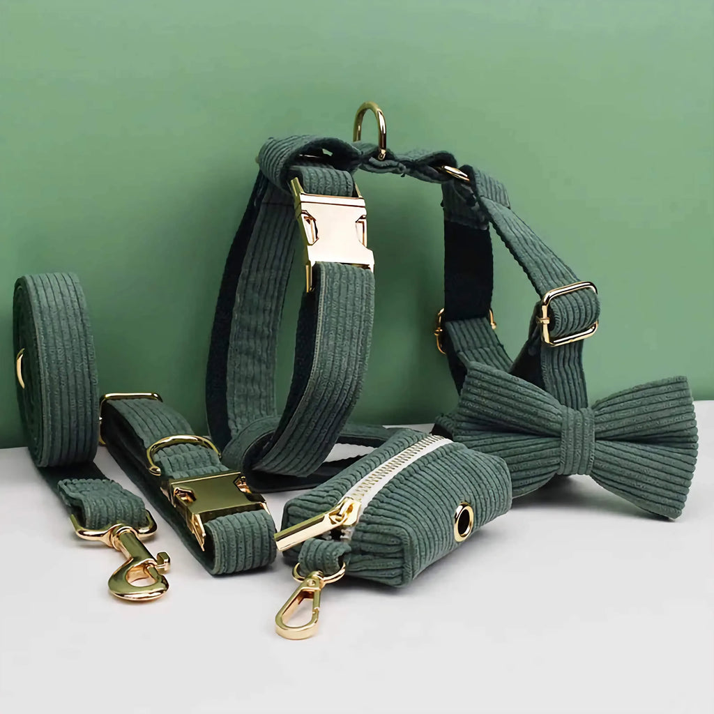 D&D Paws  Dark Green Corduroy Dog Collar, Harness & Leash Set – Classic Elegance