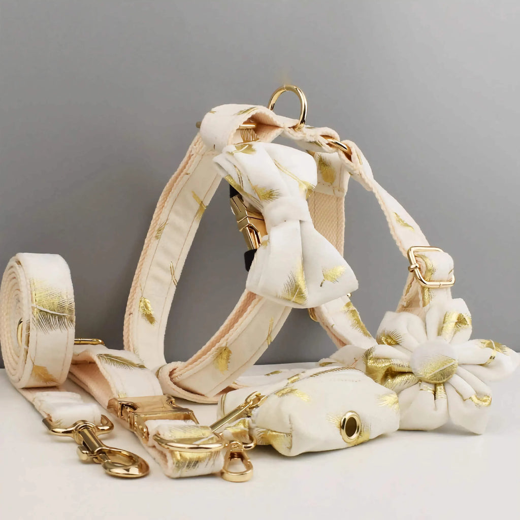 D&D Paws  Ivory Gold Leaf – Modern Luxe Set