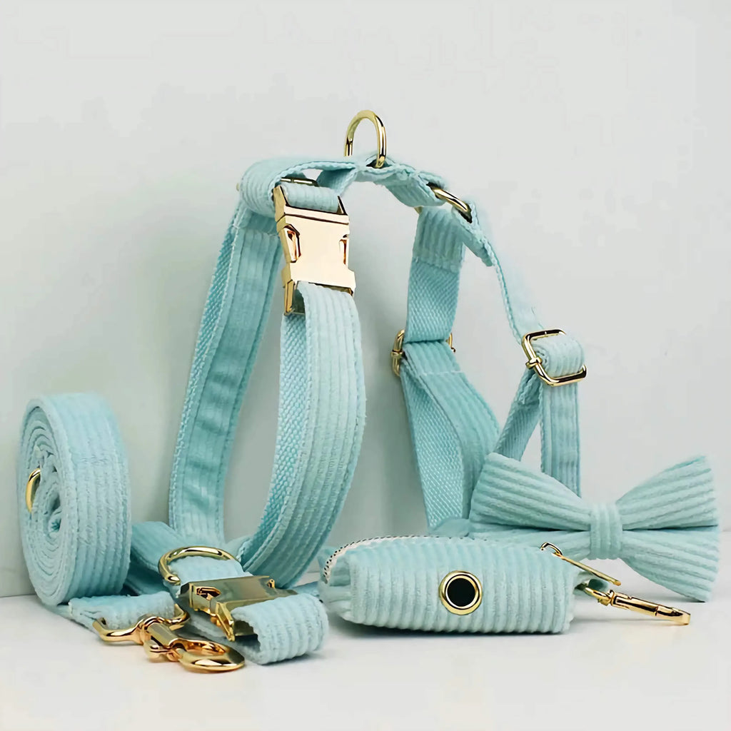 D&D Paws  Lake Green Corduroy Dog Harness, Collar & Leash Set – Classic Elegance