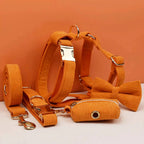 D&D Paws  Orange Corduroy - Classic Elegance Set