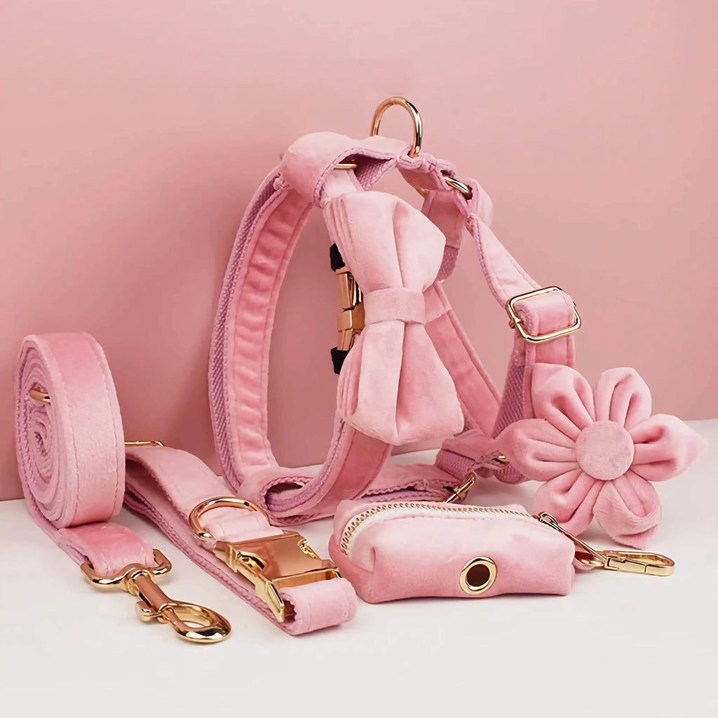 D&D Paws  Pink Velvet Dog Collar, Harness & Leash Set – Modern Luxe Personalized