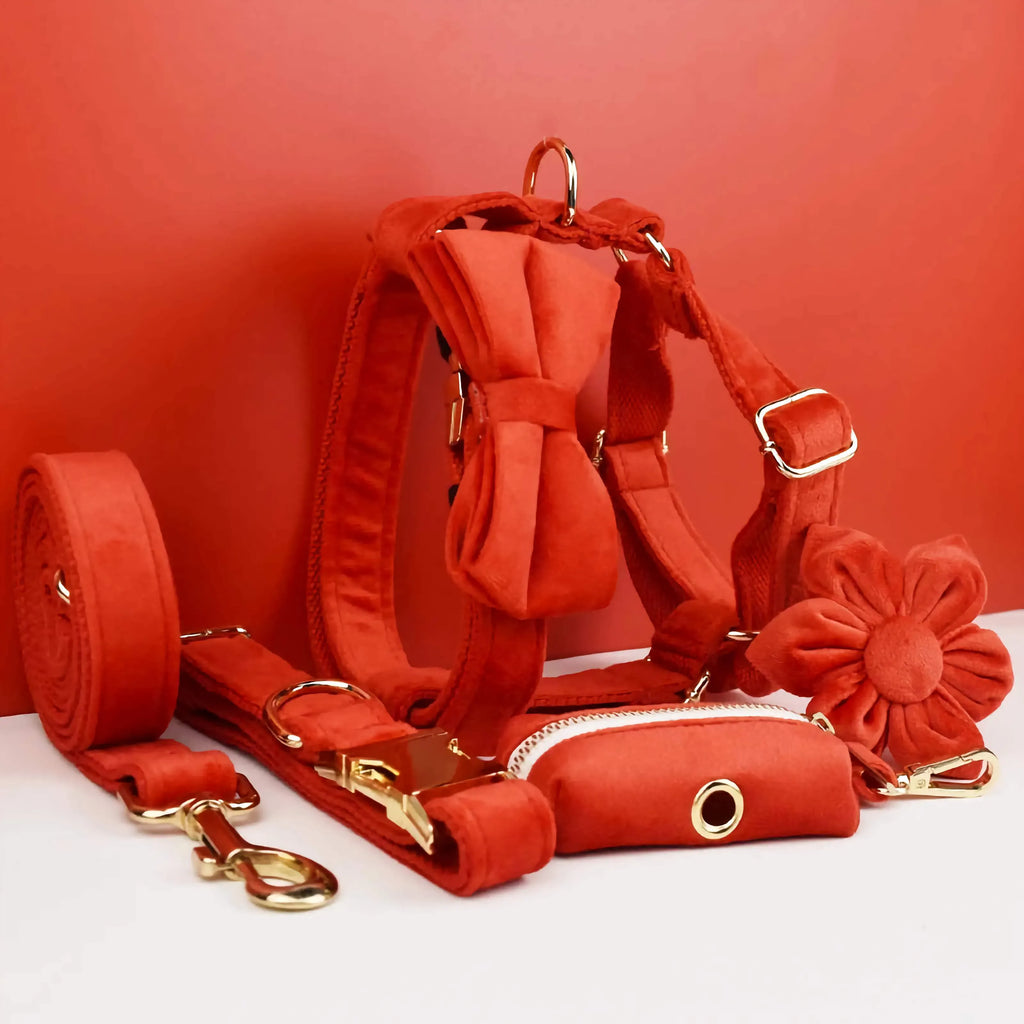 D&D Paws  Red Velvet Dog Harness, Collar & Leash Set – Modern Luxe Collection