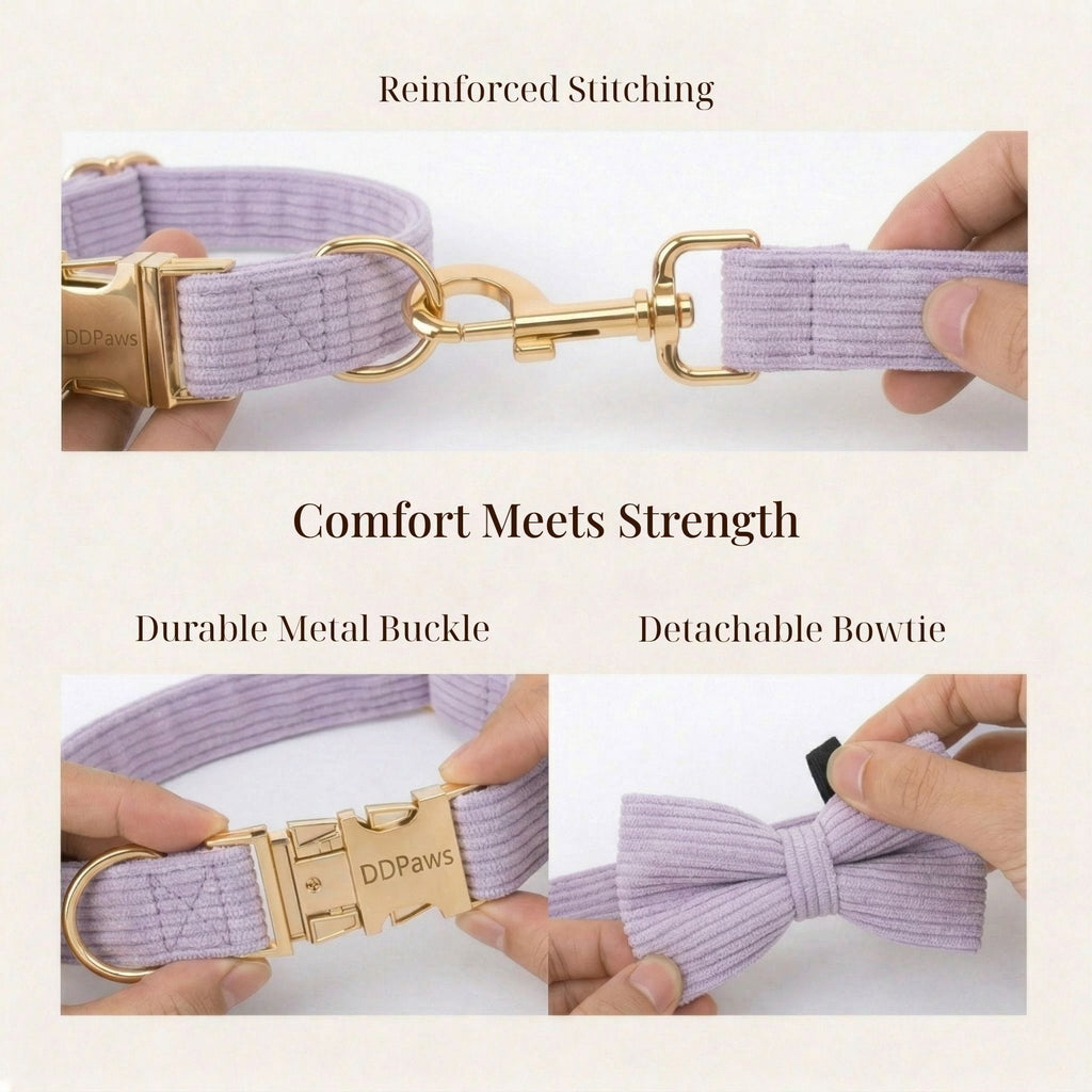 DDPaws  Lavender Mist Corduroy Set