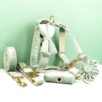 DDPaws  Personalized Mint Green Velvet Classic Set