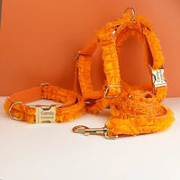 Orange Lace Set