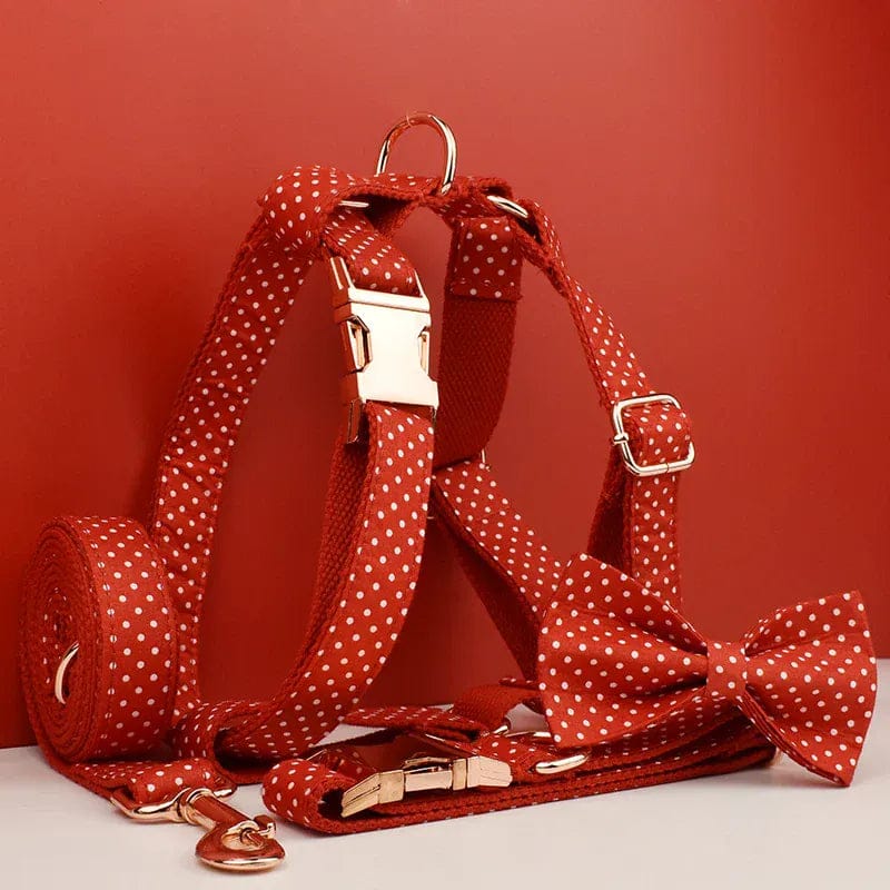 DDPaws  Personalized Red Velvet Dog Collar Classic Set