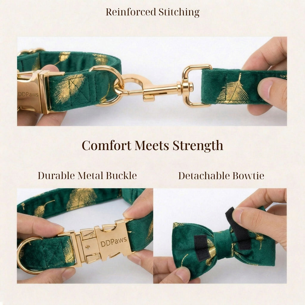D&D Paws  Green Feather Velvet Set