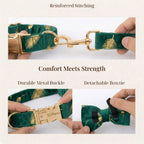 D&D Paws  Green Feather Velvet Set
