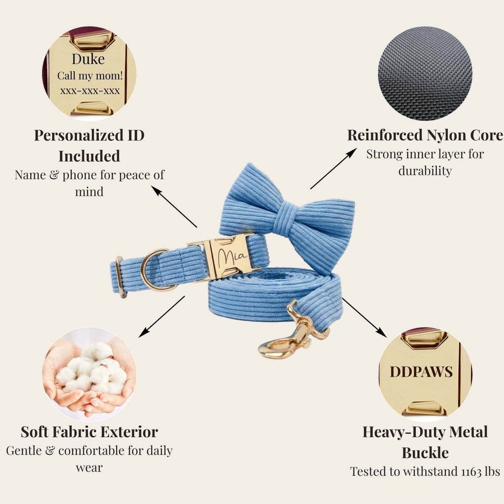 D&D Paws  Blue Corduroy Set