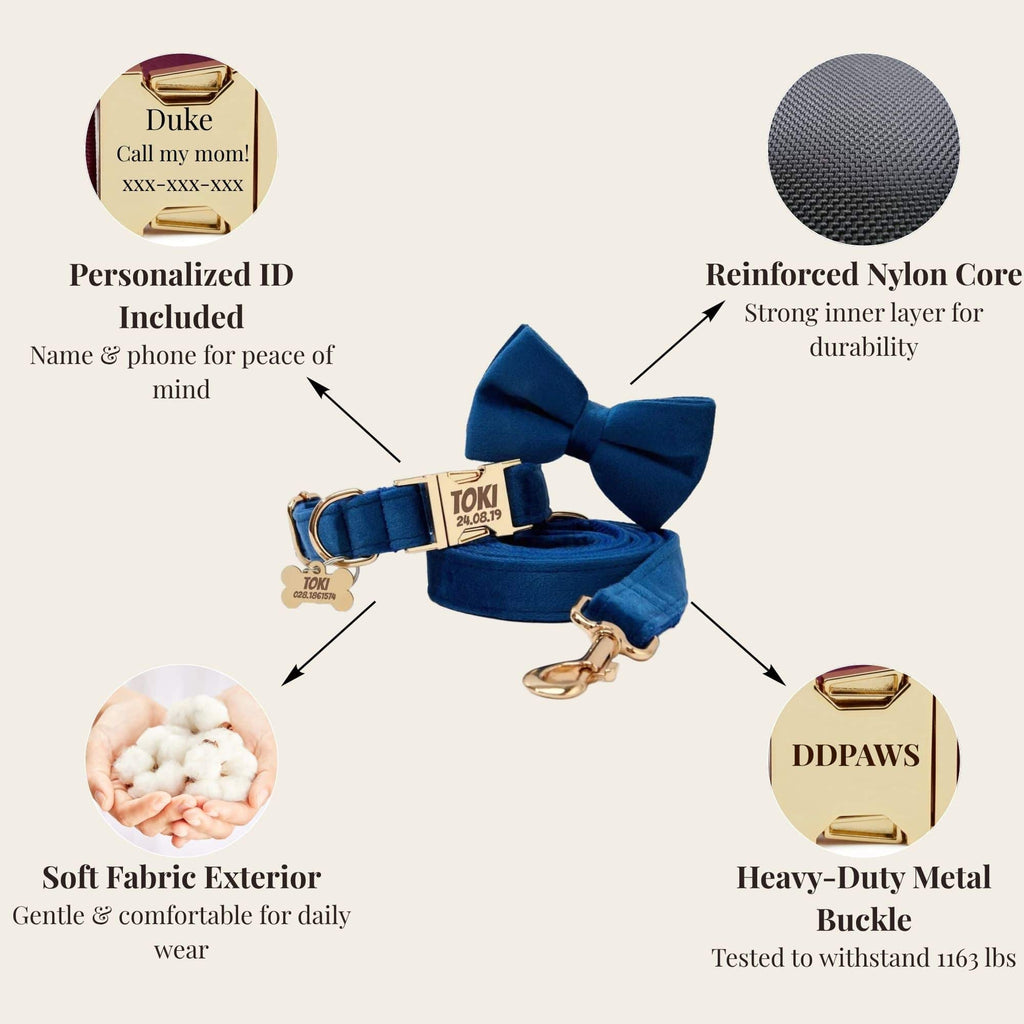 D&D Paws  Blue Velvet Set