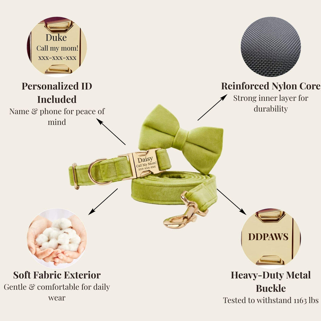 DDPaws  Avocado Velvet Set