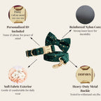 DDPaws  Green Star Velvet Set