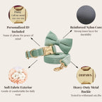 DDPaws  Mint Green Velvet Set