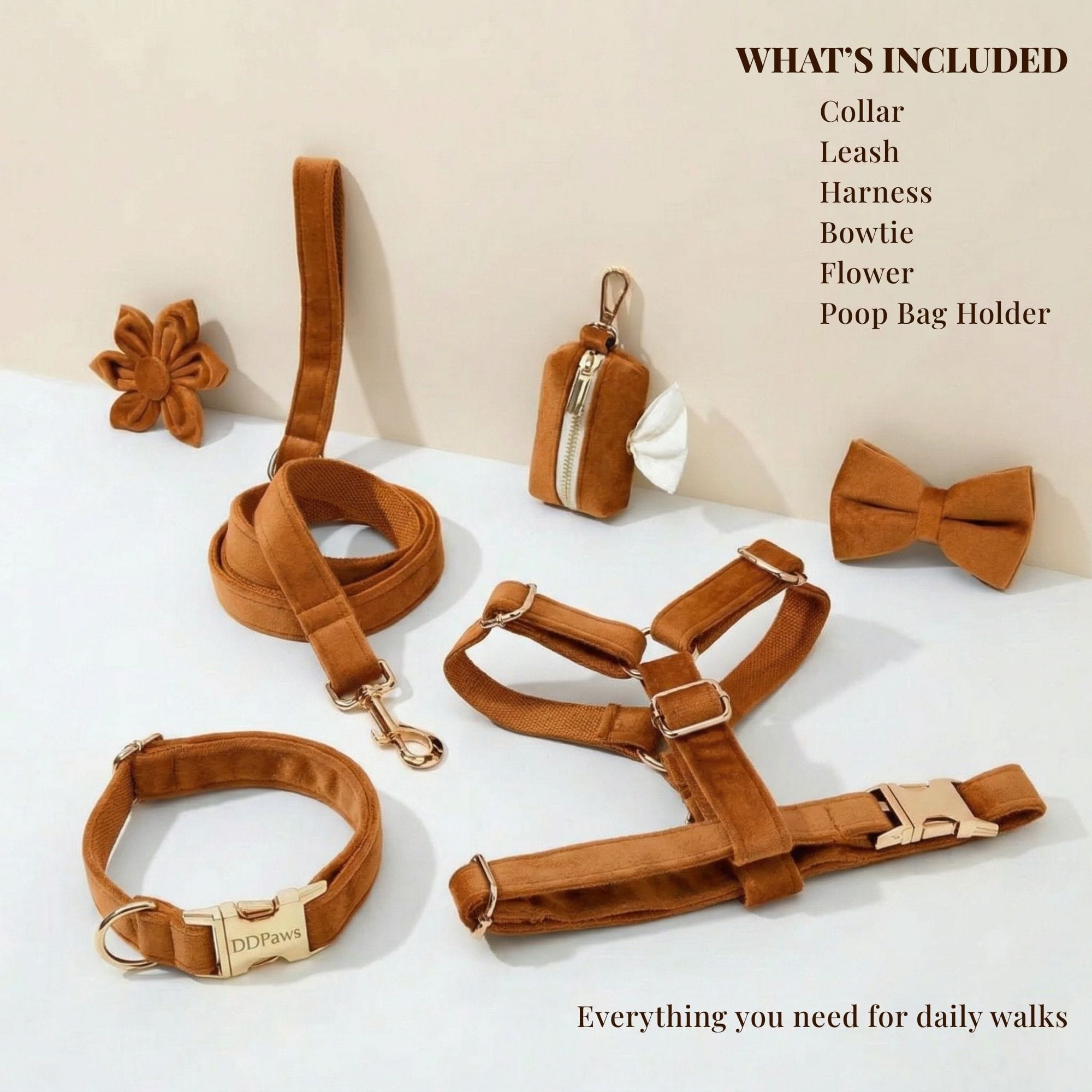D&D Paws  Ancient Pottery Velvet Set