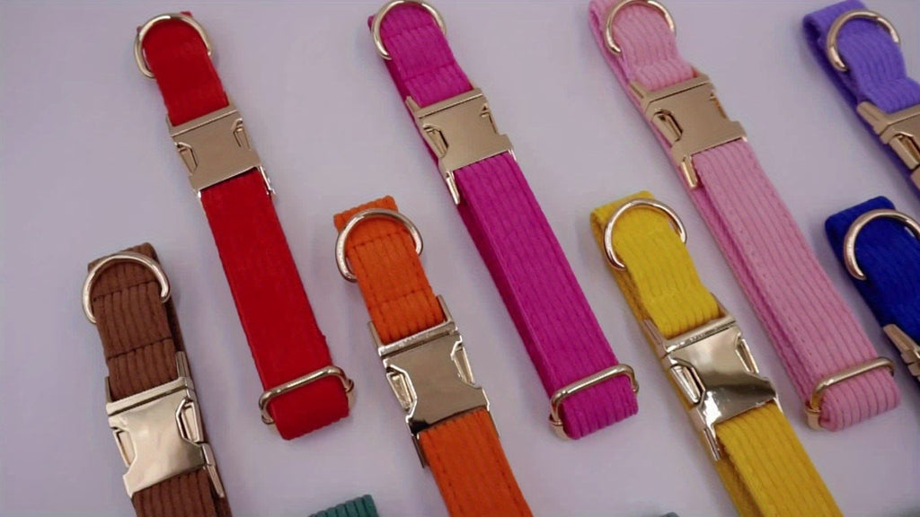 Personalized Corduroy Dog Walking Set